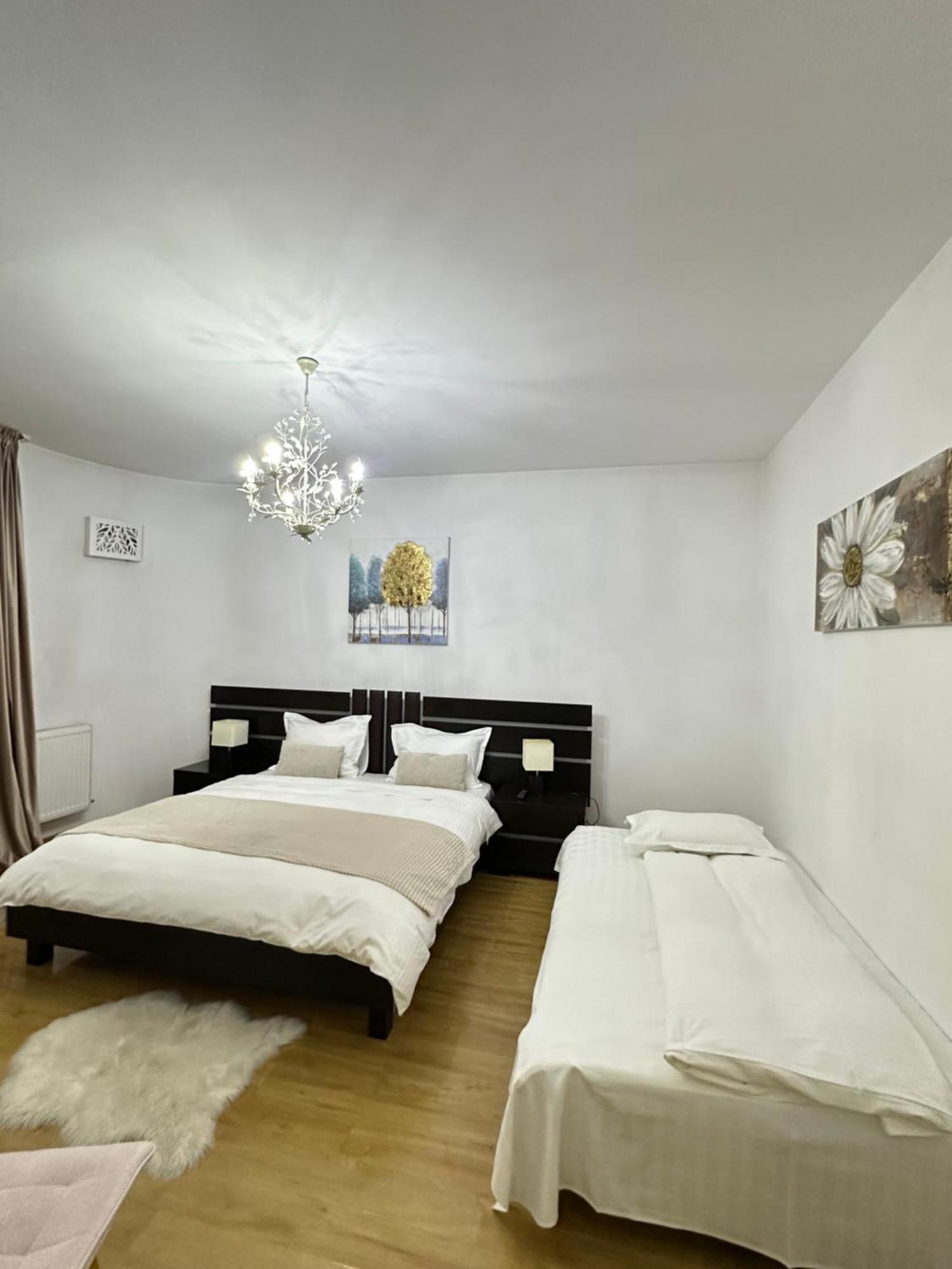 Vila Zoe Bucharestairport&Therme&Parking أوتوبين المظهر الخارجي الصورة